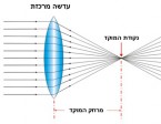 תמונה 2. עדשה מרכזת (מספרי +) עוזרת בתיקון רוחק ראייה.