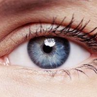 מחלות עיניים אלרגיות